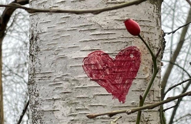 Politik + Gesellschaft | Religion(en) + Theologie | Soziale + Religiöse Themen