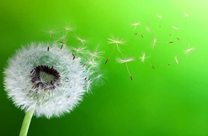 Gesundheit | Landschaften, Tiere + Pflanzen