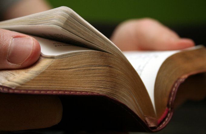 Schulische + Sprachliche Bildung | Wissenschaft, Technik + Medien