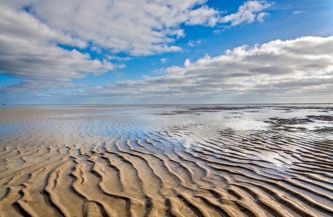 Umwelt + Entwicklung | Kultur + Gestalten | Landschaften, Tiere + Pflanzen