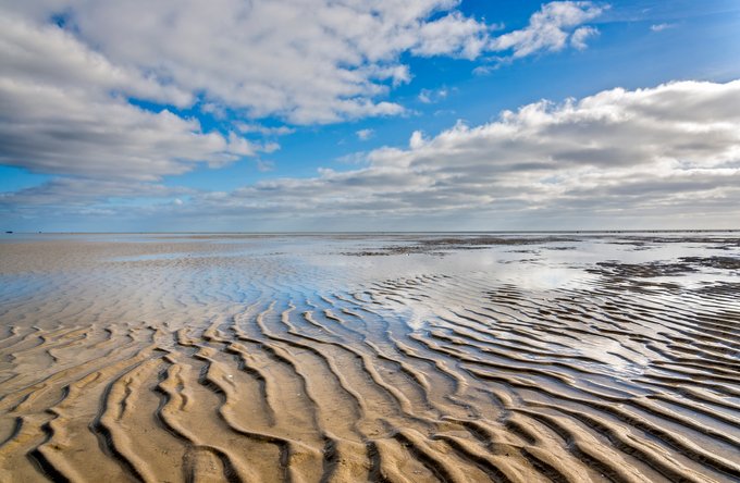Umwelt + Entwicklung | Kultur + Gestalten | Landschaften, Tiere + Pflanzen